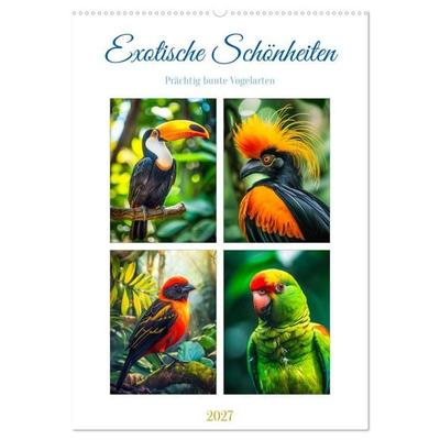 Exotische Schönheiten - prächtig bunte Vögel (Wandkalender 2027 DIN A2 hoch), CALVENDO Monatskalender