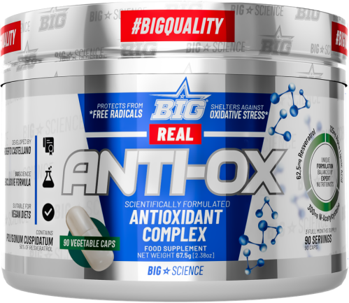 BIG Anti Ox 90 Capsules