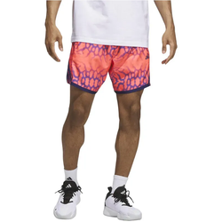 adidas Crazylite Graphic Basketballshorts Herren KG4809 - solar turbo M/9"
