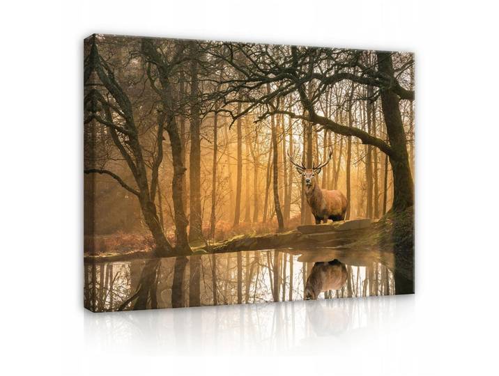 LEINWANDBILDER Natur Wald Hische 60x40