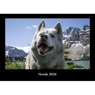 Hunde 2026 Fotokalender DIN A3