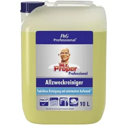 Mr. Proper Professional Allzweckreiniger »Professional Lemon« gelb