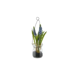 Hyazinthe in Glasvase   , Glas,Kunststoff , Maße (cm): H: 21  Ø: 6
