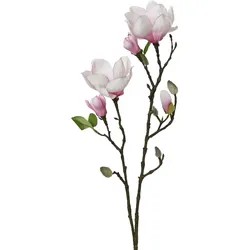 Kunstblume MAGNOLIE (BHT 15x76x11 cm) - BHT 15x76x11 cm