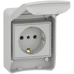 Schneider Electric 81141 Anbausteckdosen, grau, 2p+E, 10/16A, 250 V, Deutschland, IP65