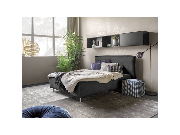 Polsterbett Homely 160 x 200cm Microfaser Panja Grau Buche
