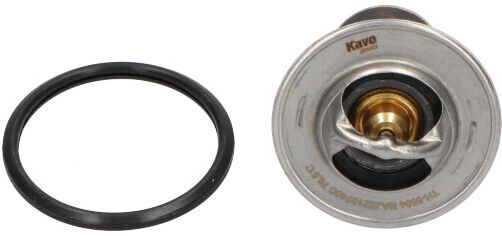 Kavo Parts Thermostat, Kühlmittel Th5504 Für Mitsubishi Kia Nissan Proton