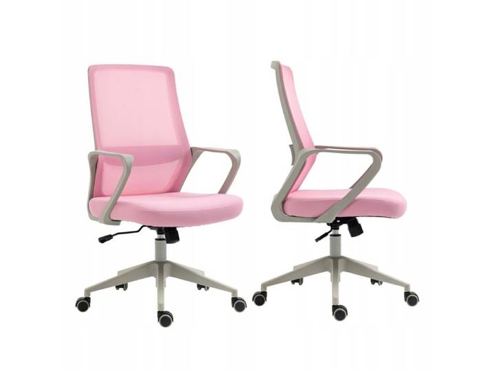 FB 22-FX (GR) rose