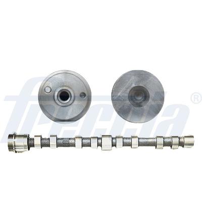 Freccia Nockenwelle [Hersteller-Nr. CM05-2273] für Fiat, Iveco, Citroën, Peugeot