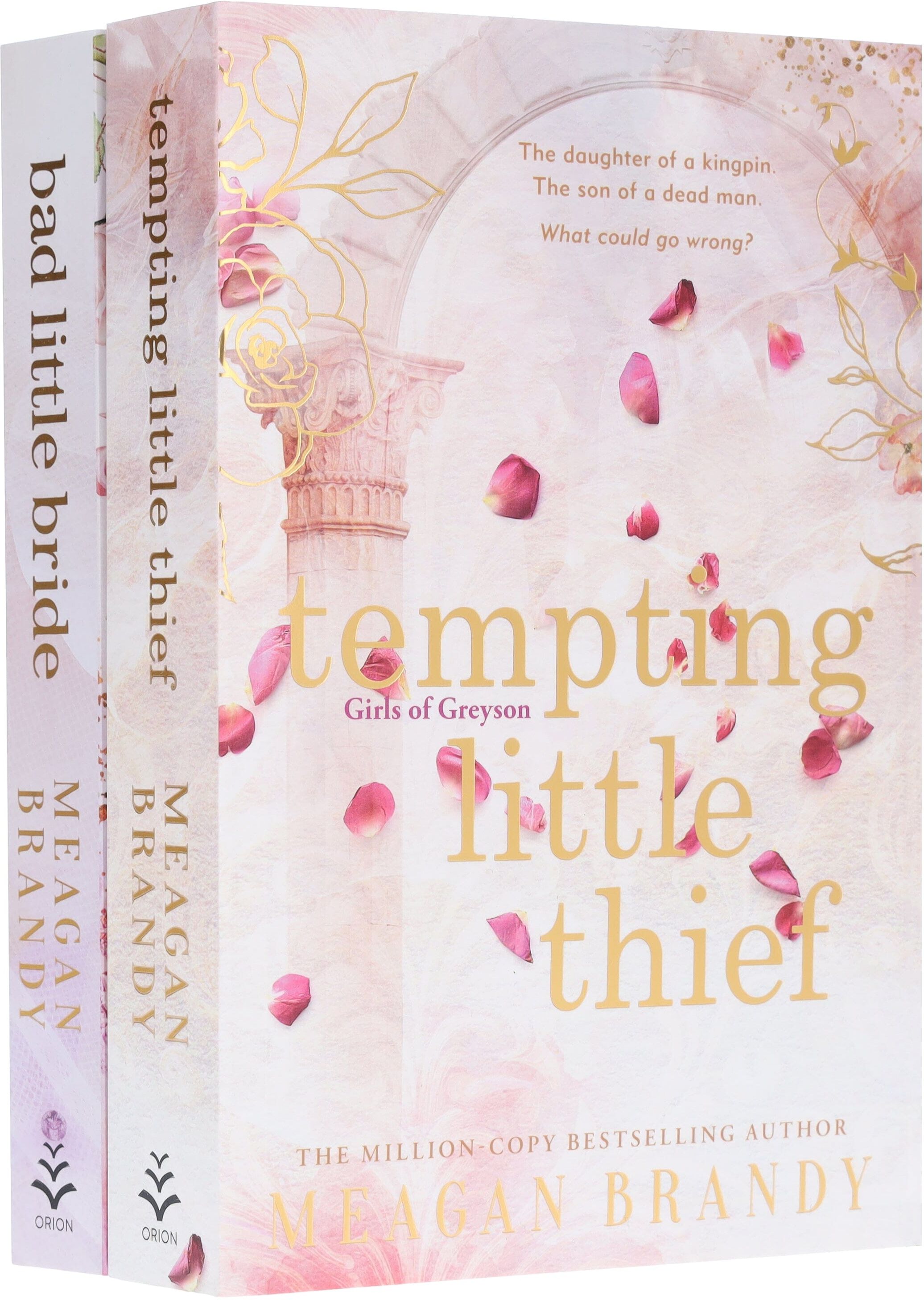 Girls of Greyson Series (Tempting Little Thief & Bad Little Bride) by Meagan Brandy 2 Books Collection Set - Fiction - Paperback Hachette