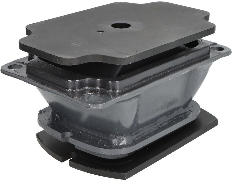 Reinhoch Supporto motore RH58-2011