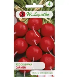 Rettich Carmen – rund, rot