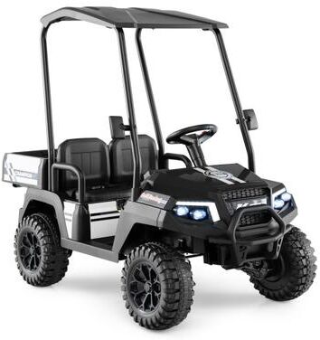 Costway 24V Kids Golf Cart 4WD 2-Seater Ride on Car with Storage Trunk and Horn-Black