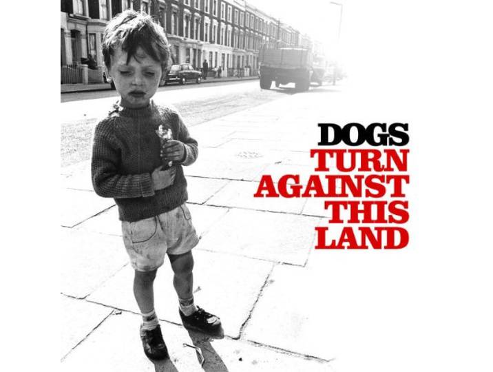 Turn Against This Land