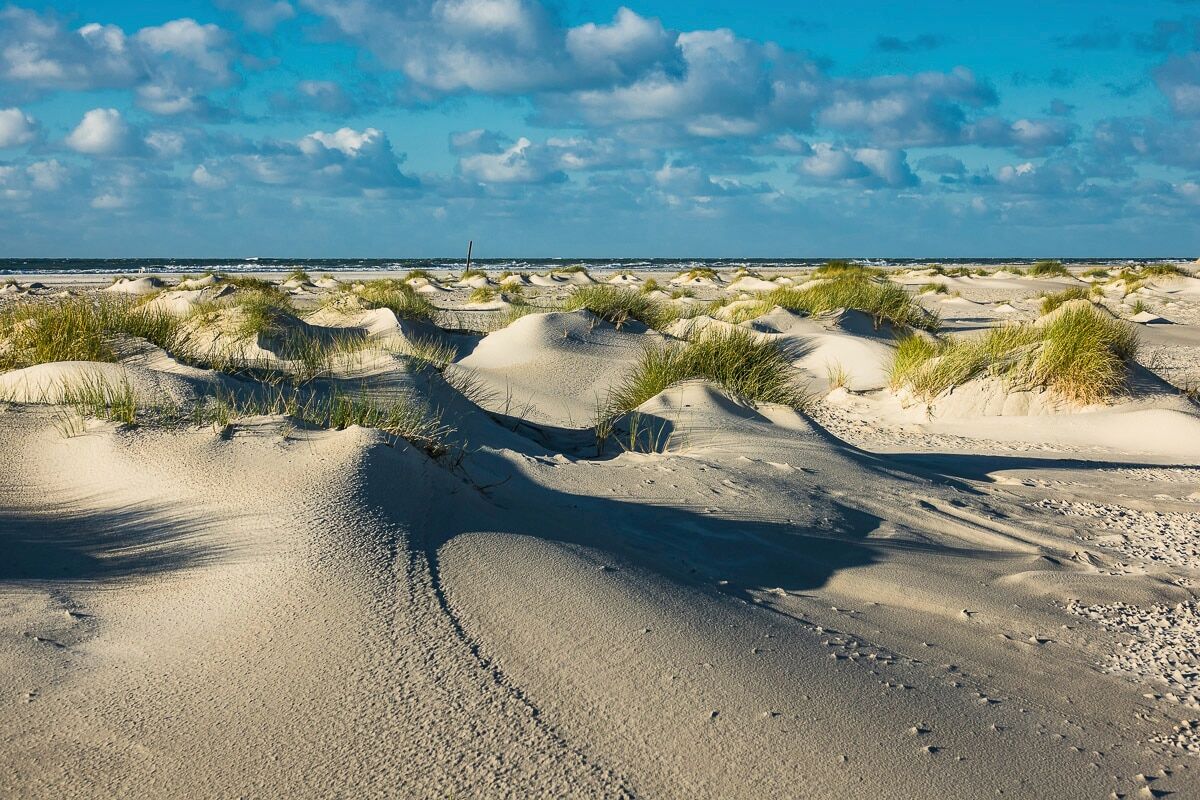 Fototapete PAPERMOON "DÜNEN-NATUR NORD SEE SAND STRAND MEER WÜSTE LANDSCHAFT", bunt, B:2m L:1,49m, Vlies, Tapeten, Fototapete bunt B/L: 2m x 1,49m, Bahnen: 4 Stk.