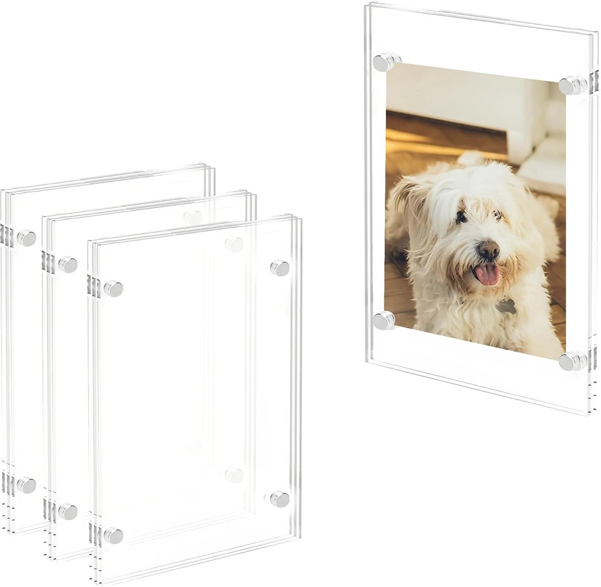 Dailygoods - Set van 4 magnetische fotolijsten voor de koelkast