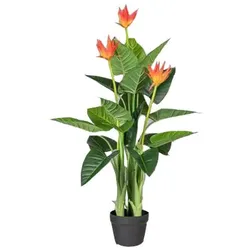 Kunstpflanze Guzmania ca. 40cm