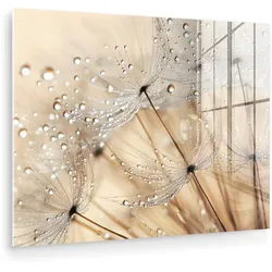 ACRYLGLASBILD Löwenzahn - Abstrakt - Natur - Beige 80x60 cm