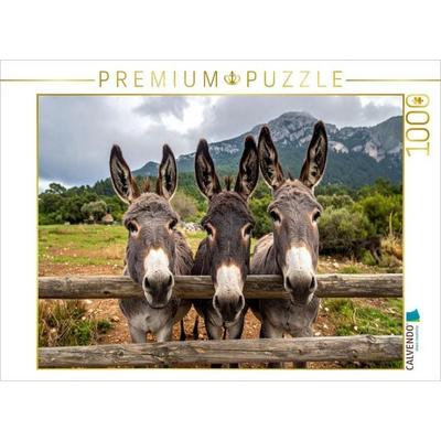 CALVENDO Puzzle Drei fröhliche Esel | 1000 Teile Lege-Größe 64x48cm Foto-Puzzle für glückliche Stunden