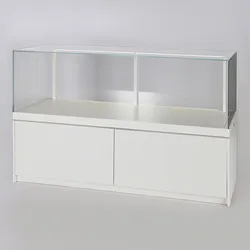 Vitrine Museum mit Staufach und Glashaube aufklappbar Dialog DLG-50G