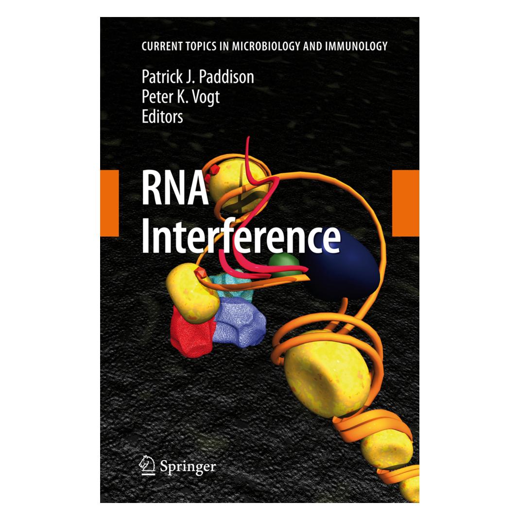 Springer RNA Interference (Englisch, Softcover, Patrick J. Paddison, Peter K. Vogt) (55573472)
