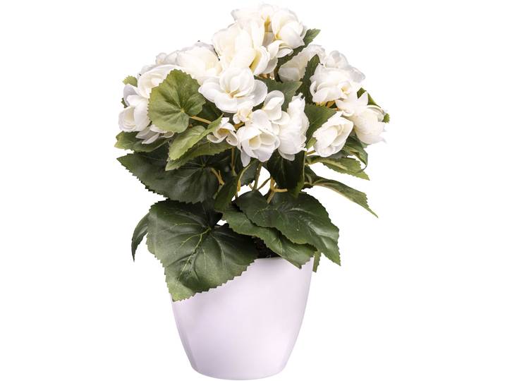 Kunstblume CREATIV GREEN Begonie , beige (creme), H:28cm, Kunststoff, Kunstpflanzen, Kunstblume, mit farbenfrohen Blüten