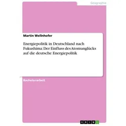 Energiepolitik in Deutschland nach Fukushima: Der Einfluss des Atomunglücks auf, Fachbücher von Martin Wellnhofer
