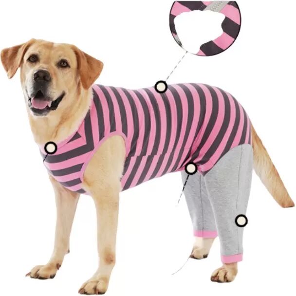 INF Corgi Teddy Hunde Kleidung für kleine bis große Hunde - Herbst- und Winterbekleidung M Rosa