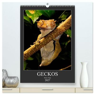 GECKOS (hochwertiger Premium Wandkalender 2027 DIN A2 hoch), Kunstdruck in Hochglanz