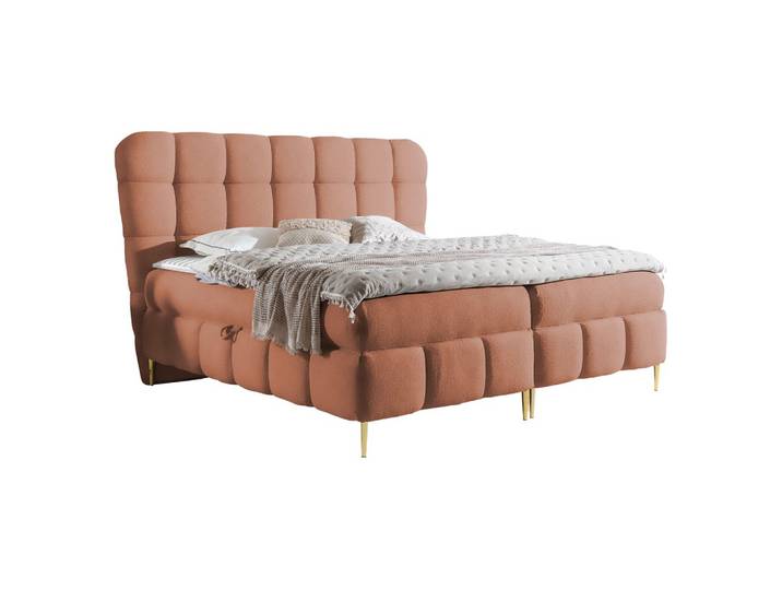 BOXBETT Lolly - H3