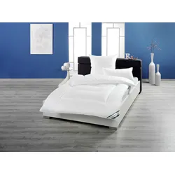 f.a.n. Frankenstolz Bettdecke Texas Vierjahreszeiten-Steppbett 200x200