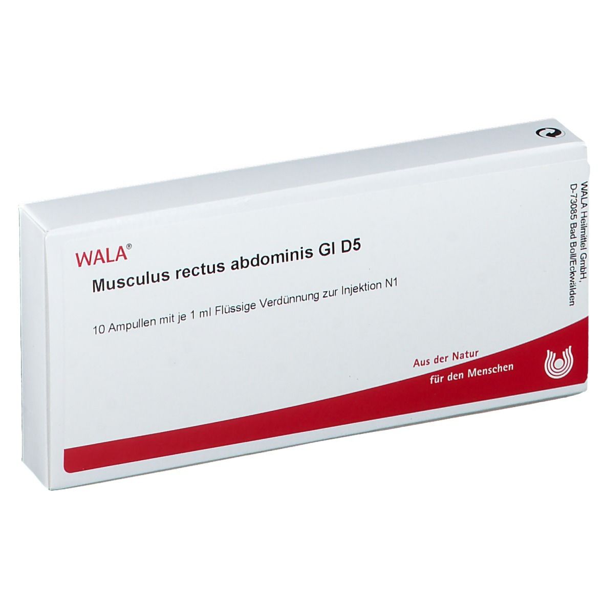 Musculus Rectus abdominis GL D 5 Ampullen 10x1 ml