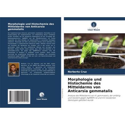 Morphologie und Histochemie des Mitteldarms von Anticarsia gemmatalis, Taschenbuch von Norberto Cruz, Verlag Unser Wissen, 978-620-8-24092-9