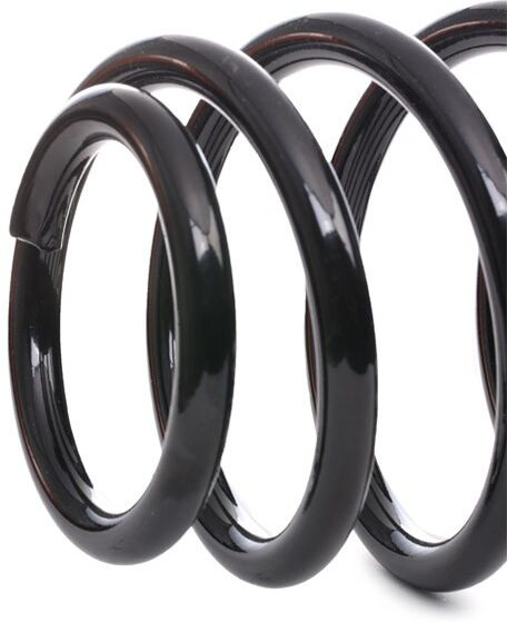 SACHS 993 389 Chassisveer
