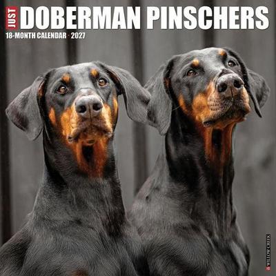 Doberman Pinschers 2027 12 X 12 Wall Calendar