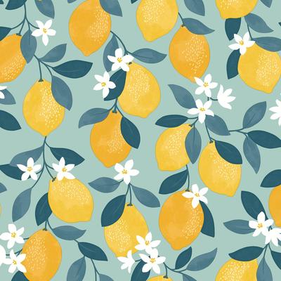 Fine Decor Inigo Seafoam Sicily Fruits Wallpaper