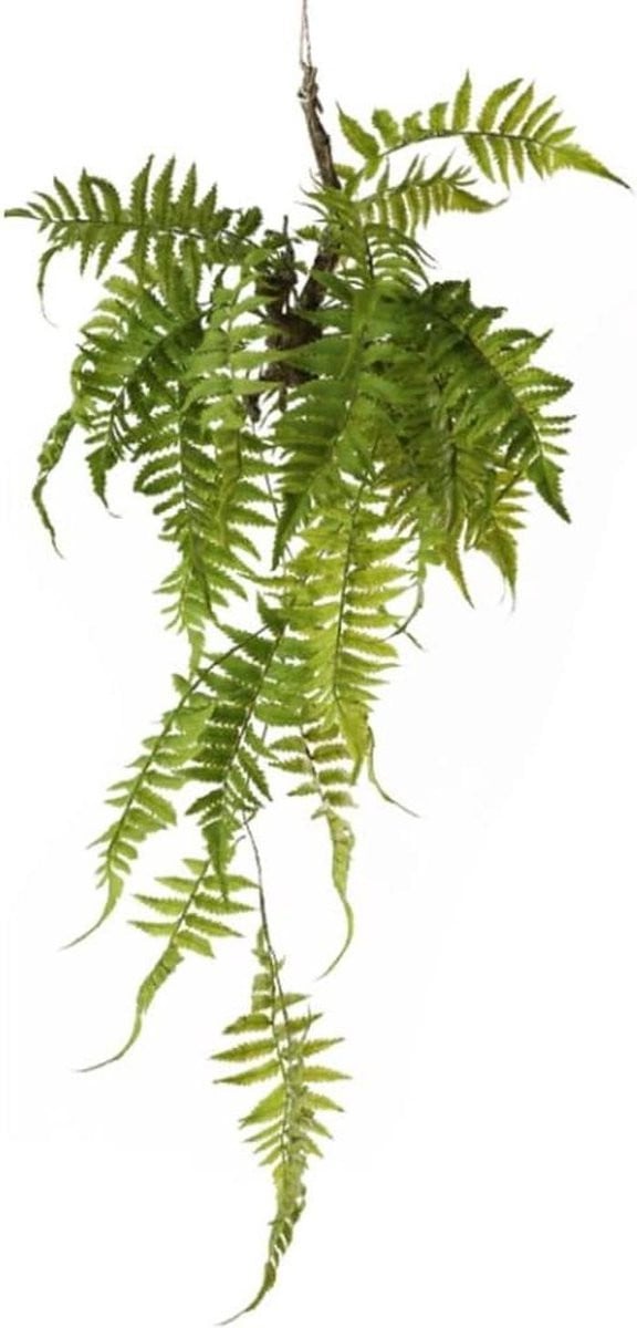 Levensechte kunstplant varen voor wanddecoratie, groen, 75-110 cm lengte