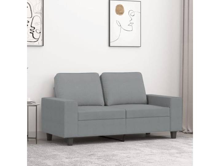 HEFZGDB 2-Sitzer Sofa Hellgrau 120 cm Stoff Polstermöbel mit strapazierfähigem Bezug, robustem Metallgestell und komfortabler Polsterung für Wohnzimmer Sitzgruppe