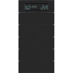Berker 75665592 Tastsensor 5fach mit Temperaturregler und Display B.IQ Glas, schwarz