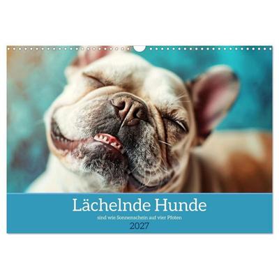 Lächelnde Hunde sind wie Sonnenschein auf vier Pfoten (Wandkalender 2027 DIN A3 quer), CALVENDO Monatskalender