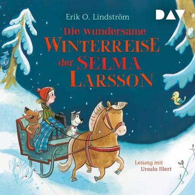 Die wundersame Winterreise der Selma Larsson - Erik Ole Lindström, Audio, 9783742416360