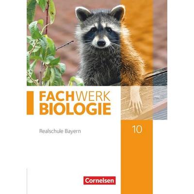 Fachwerk Biologie - Realschule Bayern - 10. Jahrgangsstufe, Gebundene Ausgabe von Reinhold Rehbach,Peter Pondorf,Matthias Niedermeier,Judith