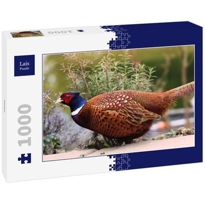 Lais Puzzle Fasan 1000 Teile