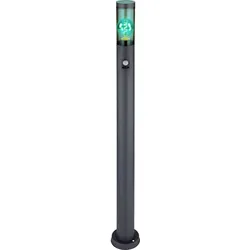 LED Wegeleuchte mit Bewegungsmelder Außenstehlampe dimmbar mit Fernbedienung Pollerleuchte außen Gartenlampen anthrazit , RGB Farbwechsel, rauch 8,5W 806lm warmweiß, DxH 12,7x110cm