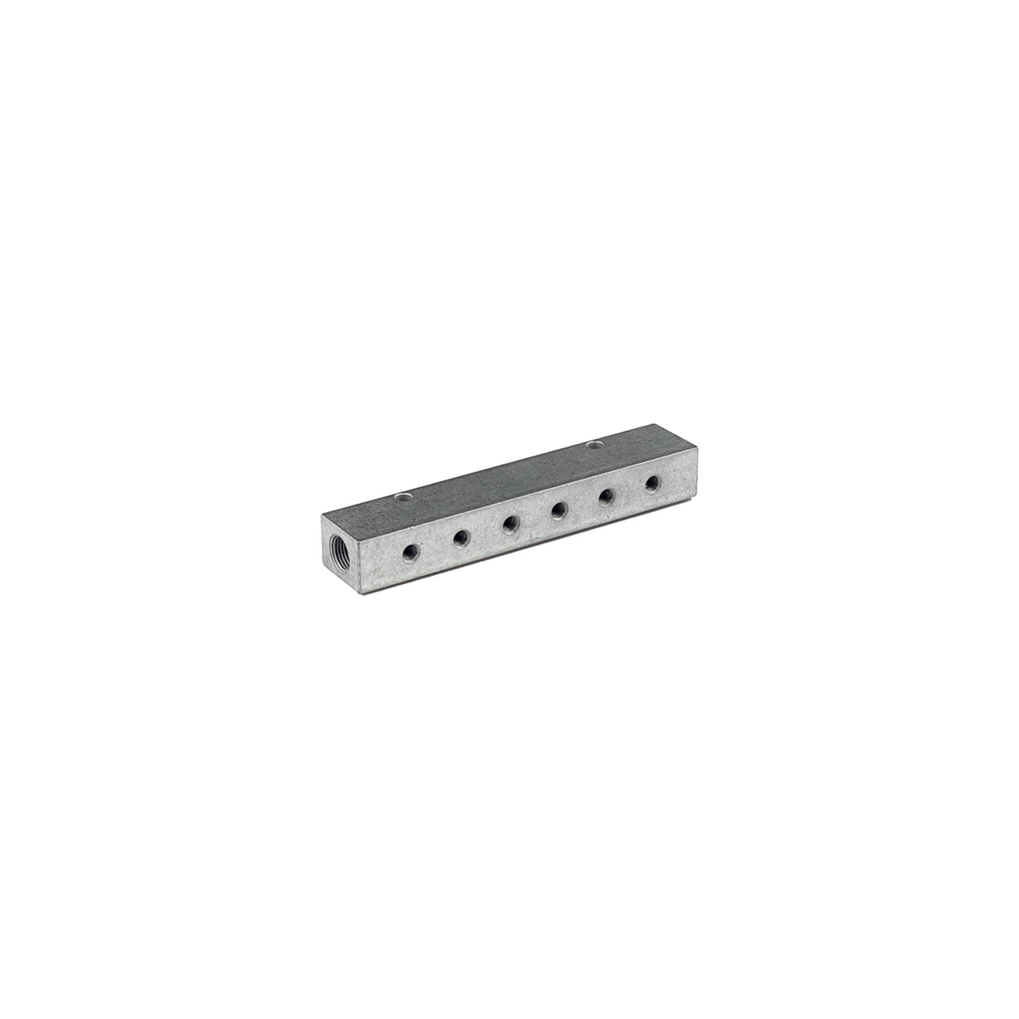 Riegler Verteilerleiste, Abgänge einseitig, Eingang 2x1/8, Ausgang 2xM5 (VT 15502)
