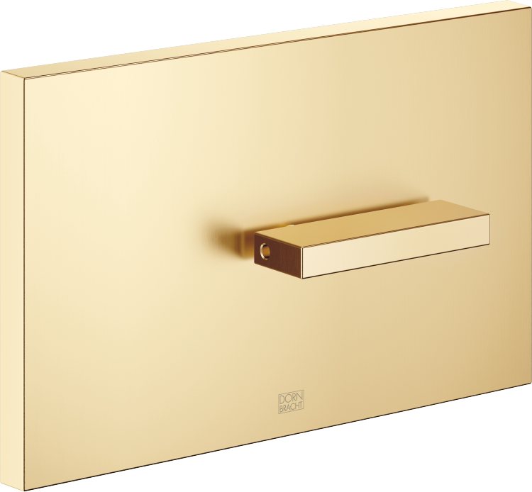 Dornbracht plaque de couverture 12660979-28 pour WC citerne UP TECE, laiton brossé