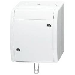 ABB 2CKA001383A0143 Schalter IP44 Reinweiß (RAL 9010), Weiß