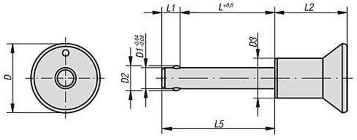 KIPP Kugelsperrbolzen selbstsichernd Nirosta 16x33x40 Kipp (K0364.3116040)
