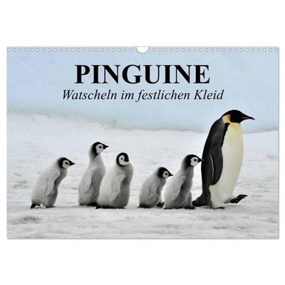 Pinguine - Watscheln im festlichen Kleid (Wandkalender 2027 DIN A3 quer), CALVENDO Monatskalender