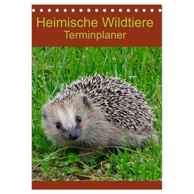Heimische Wildtiere Terminplaner (Tischkalender 2026 DIN A5 hoch), CALVENDO Monatskalender